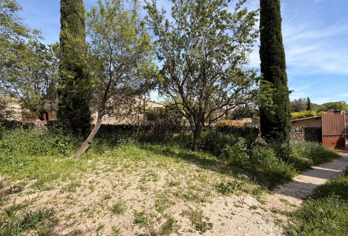 vente Terrain constructible Cabrieres D'avignon - Photo 5