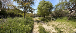 vente Terrain constructible Cabrieres D'avignon