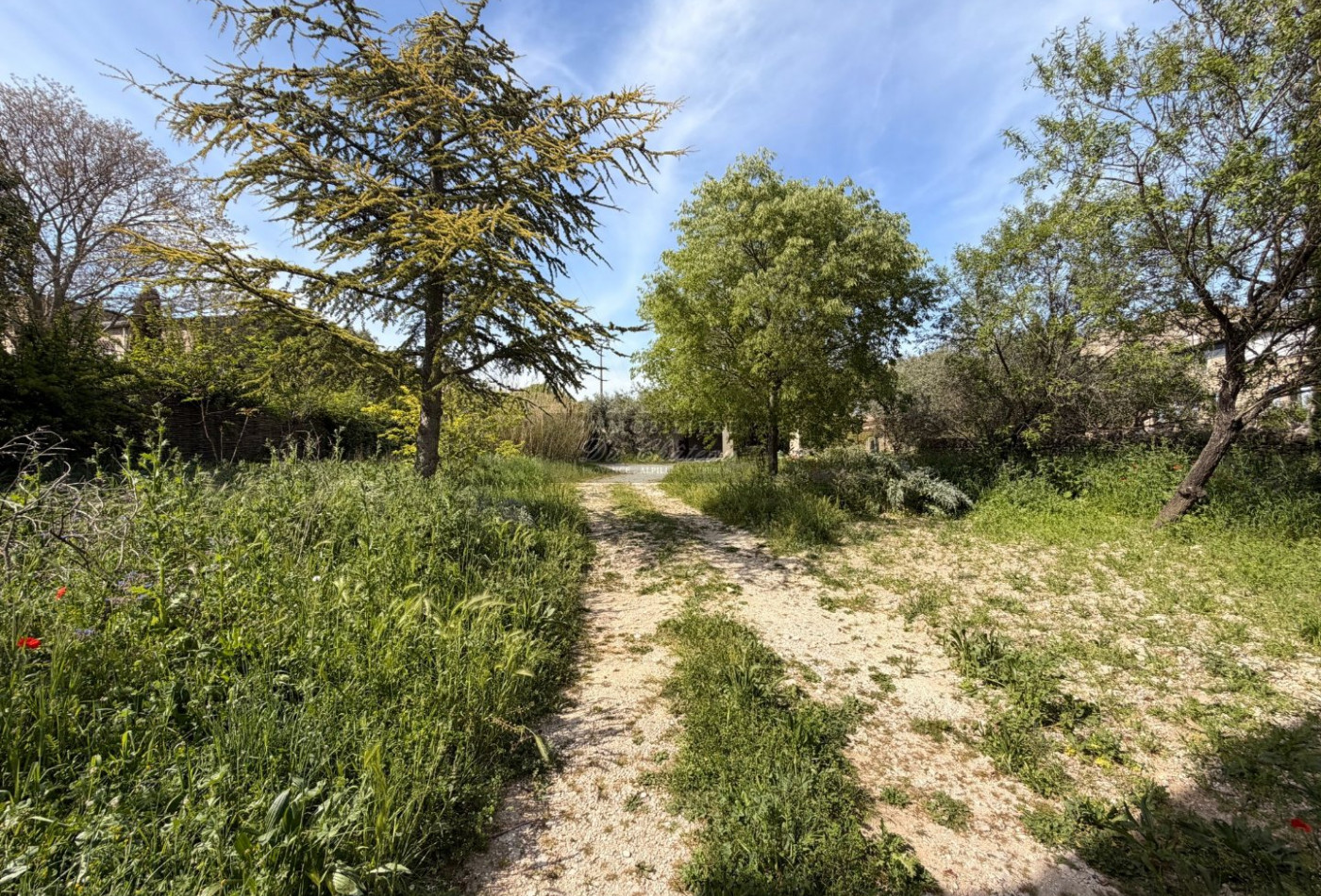 vente Terrain constructible Cabrieres D'avignon - Photo 8