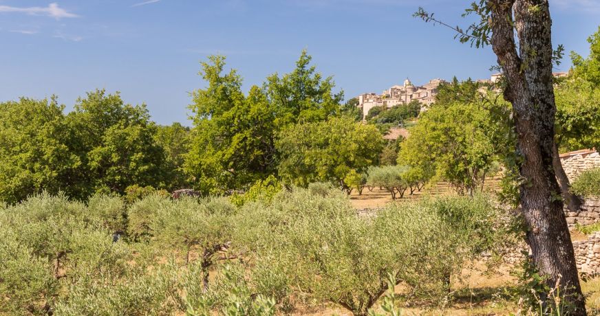 vente Maison Gordes