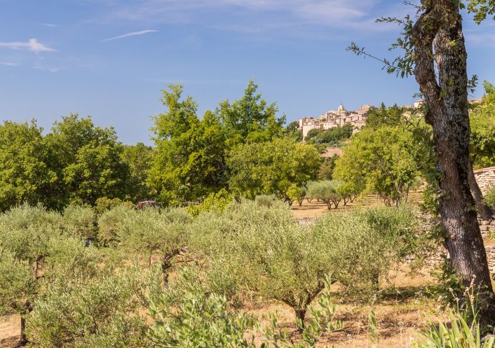 vente Maison Gordes