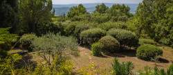 vente Maison Joucas