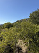 vente Maison Gordes