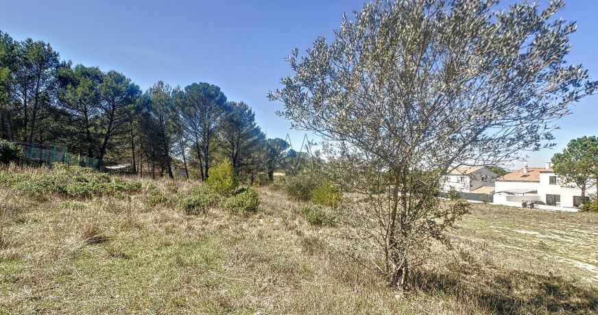 vente Terrain Alleins