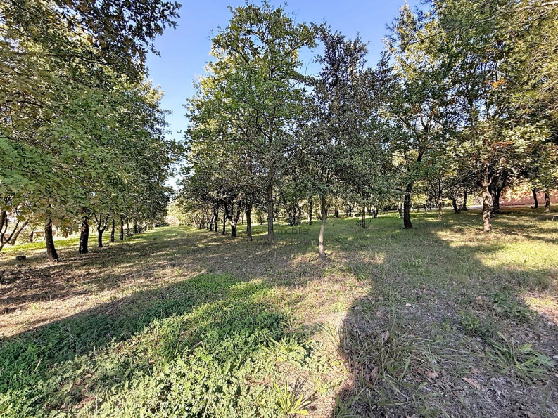 vente Maison L'isle Sur La Sorgue - Photo 9