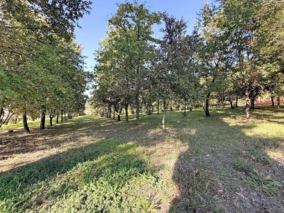 à vendre Maison L'isle Sur La Sorgue - Photo 9