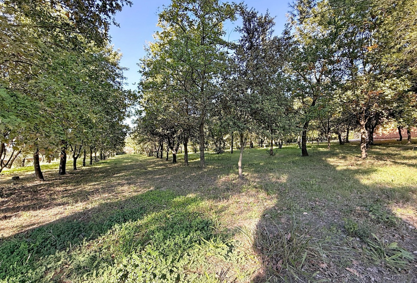 vente Maison L'isle Sur La Sorgue - Photo 9