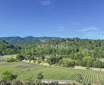 vente Menerbes