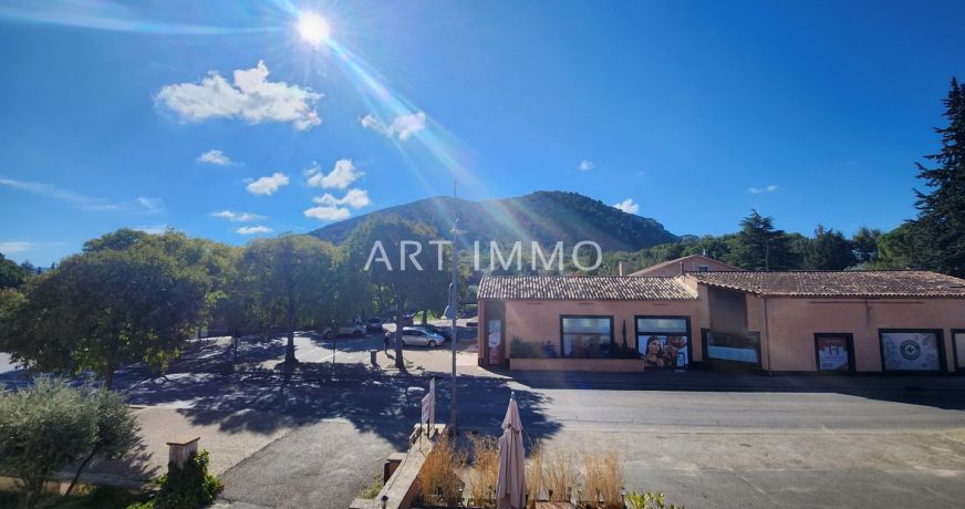 vente Immeuble mixte Robion