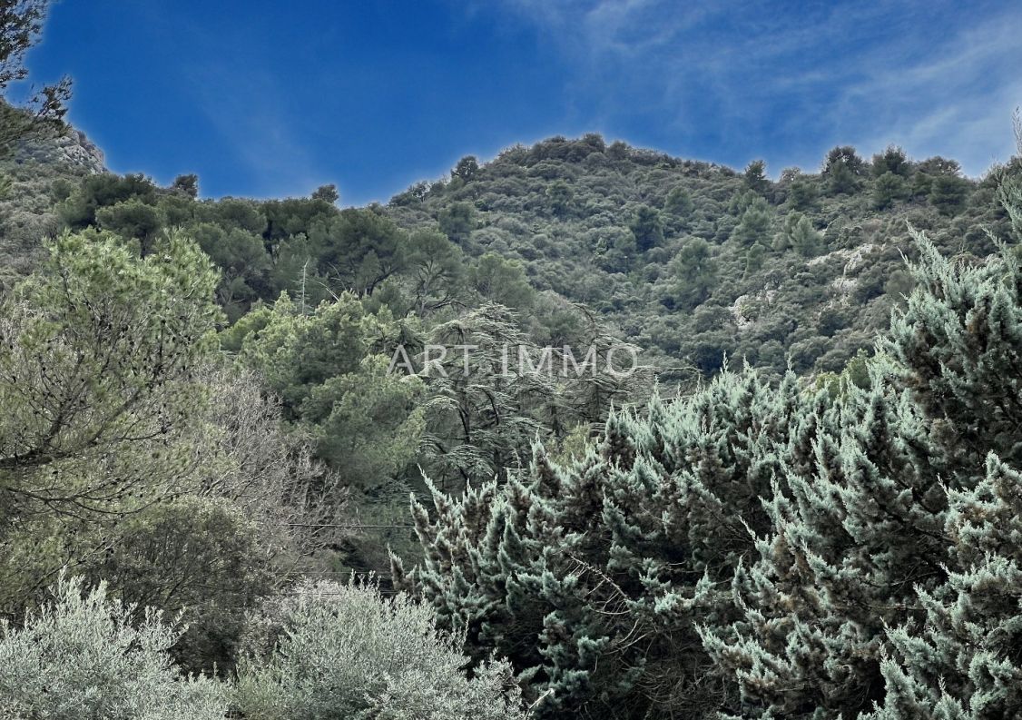 vente Terrain constructible Robion