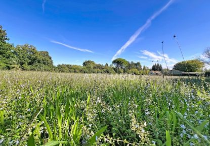 vente Terrain constructible Chateauneuf De Gadagne