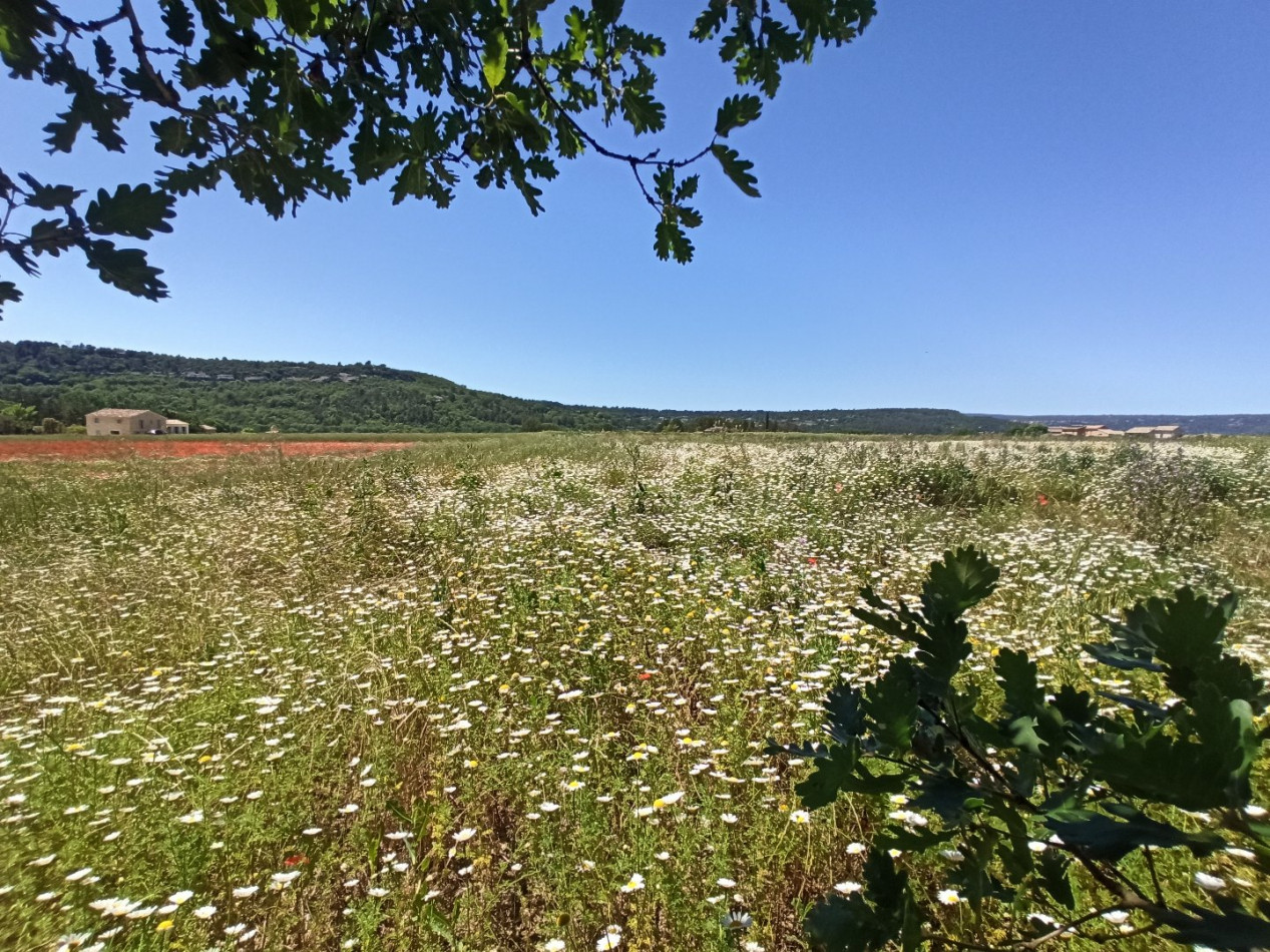vente Terrain agricole Goult - Photo 1