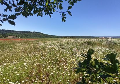 vente Terrain agricole Goult