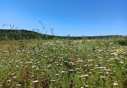 vente Terrain agricole Goult