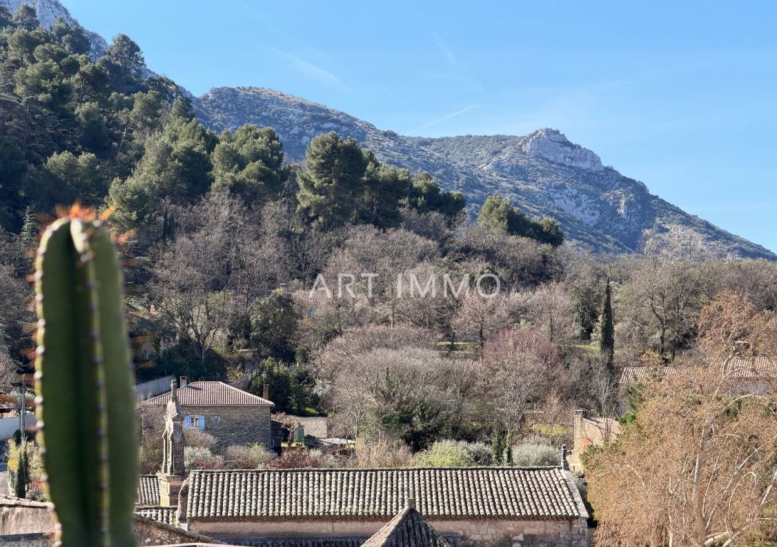 vente Maison de village Robion