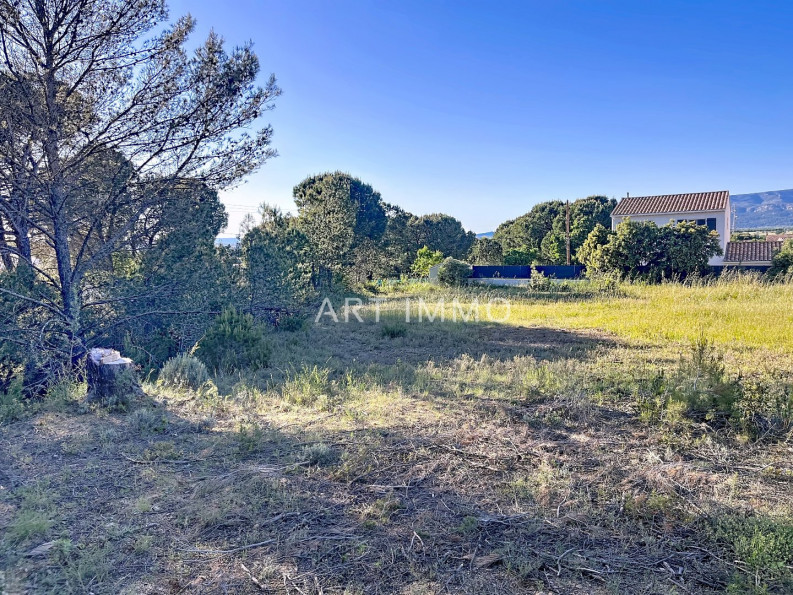 vente Terrain Alleins - Photo 1