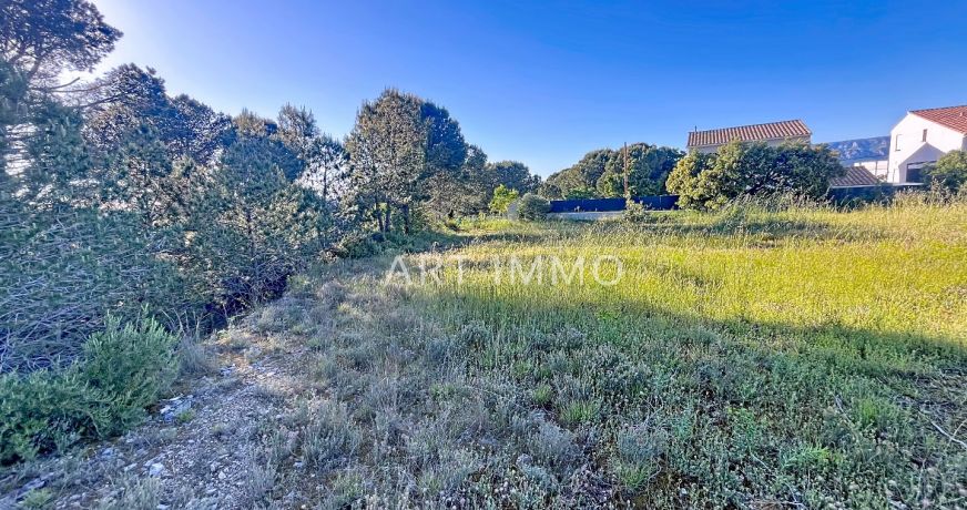 vente Terrain Alleins