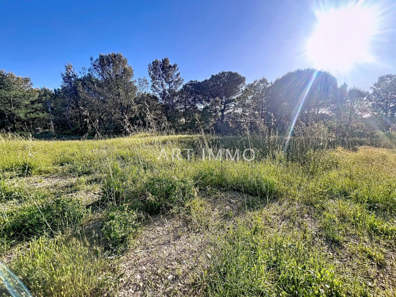 vente Terrain Alleins - Photo 3