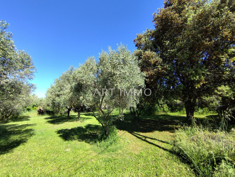 vente Terrain constructible L'isle Sur La Sorgue - Photo 1
