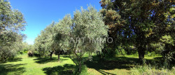 vente Terrain constructible L'isle Sur La Sorgue