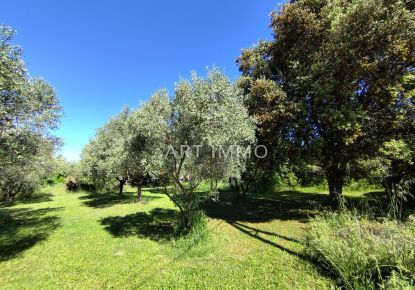 vente Terrain constructible L'isle Sur La Sorgue