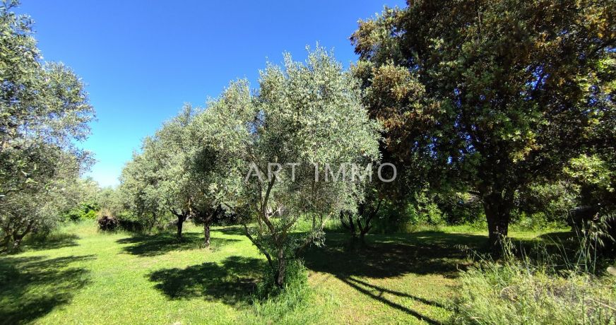 vente Terrain constructible L'isle Sur La Sorgue