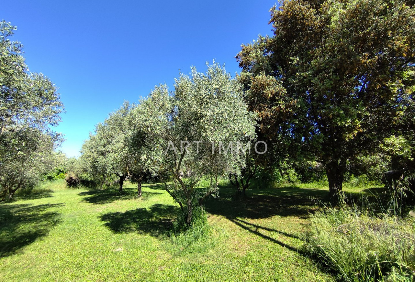 vente Terrain constructible L'isle Sur La Sorgue - Photo 1