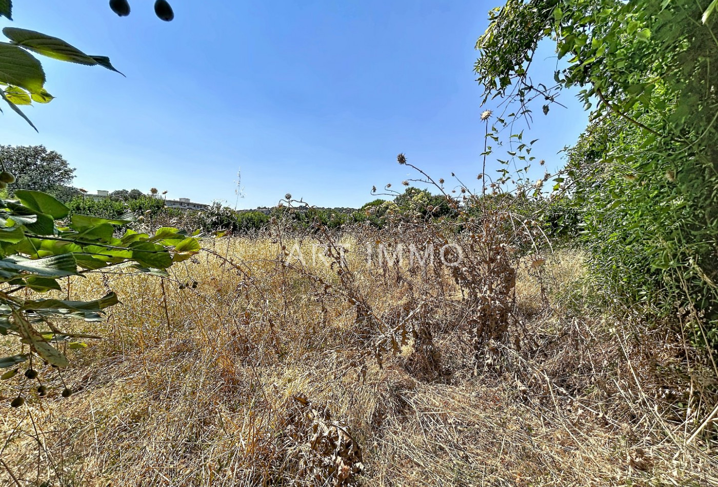 vente Terrain constructible Cavaillon - Photo 1