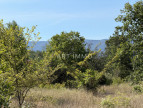 vente Terrain constructible Beaumettes