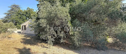 vente Maison Robion