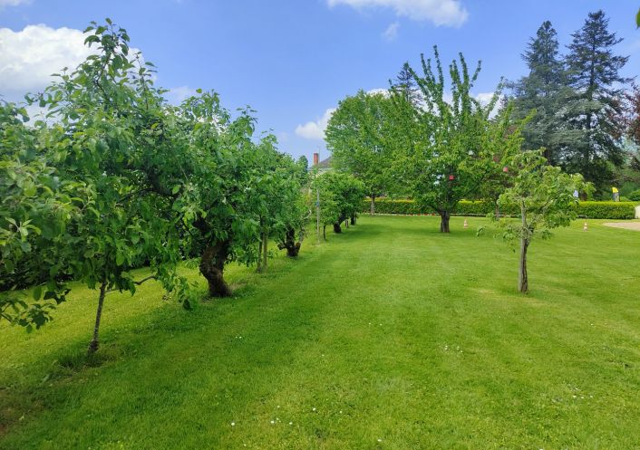 vente Terrain Morannes