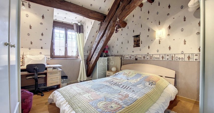 vente Demeure de ville et village Nogent Sur Vernisson