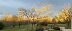 vente Maison contemporaine Montemboeuf