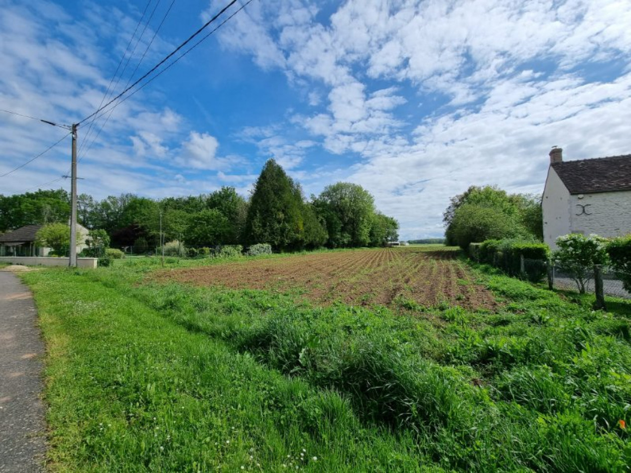 vente Terrain constructible Girolles - Photo 2