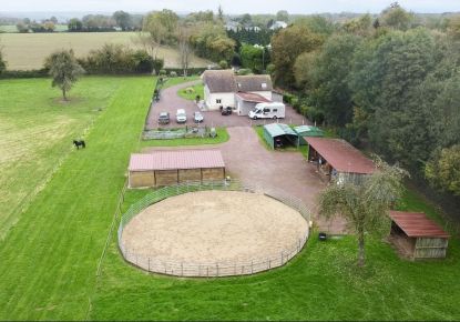 vente Haras / equestre Deauville