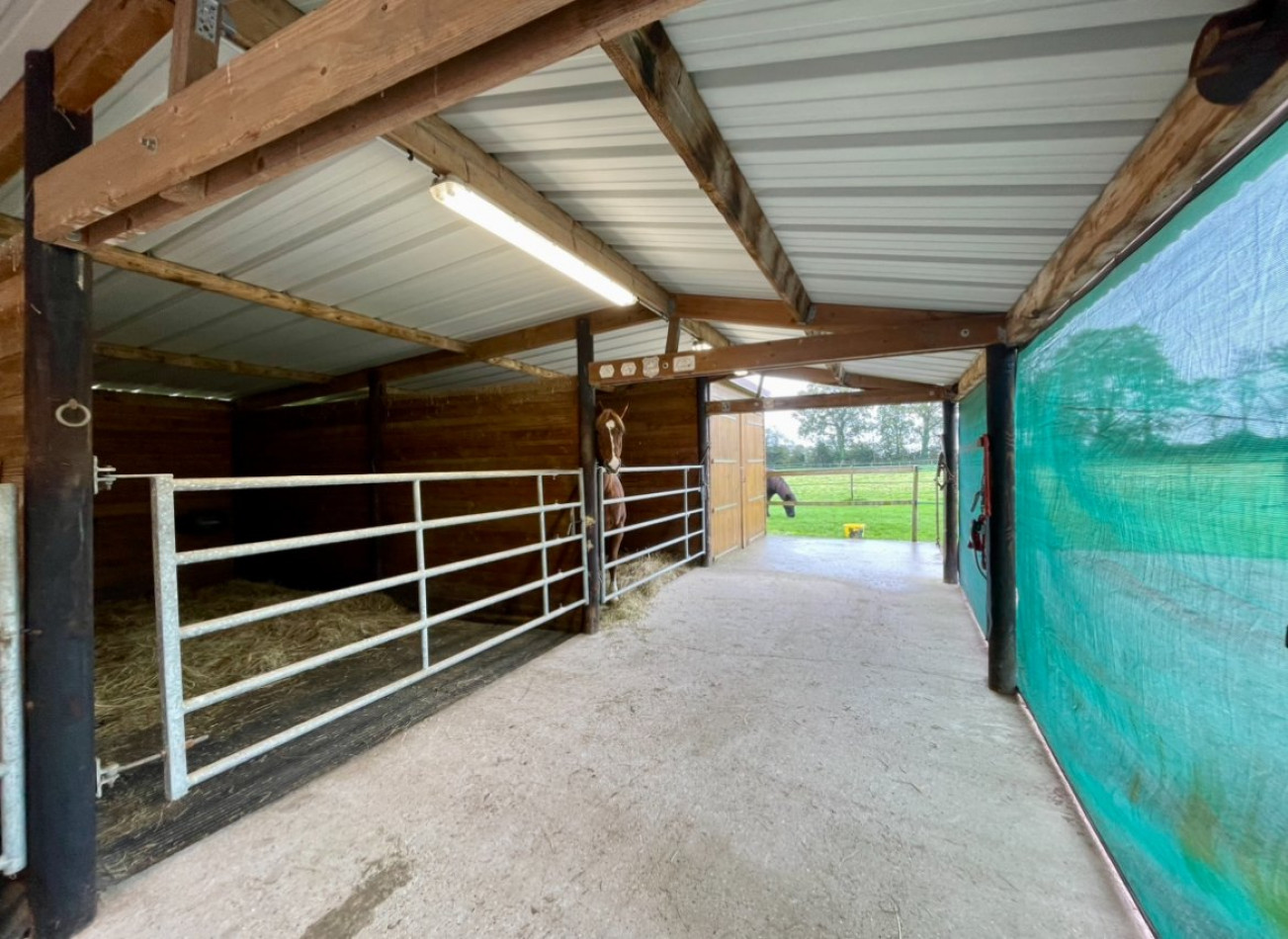 sale Haras / equestre Deauville - Photo 17