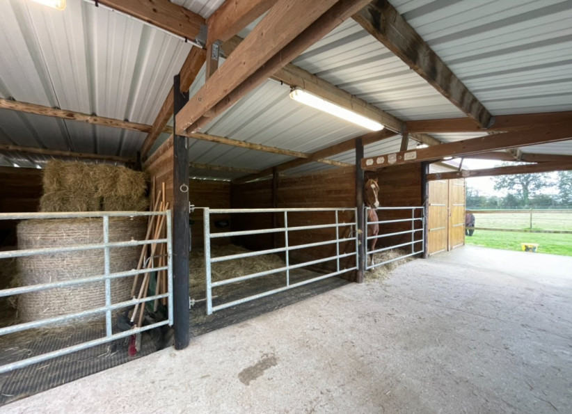 vente Haras / equestre Deauville - Photo 8