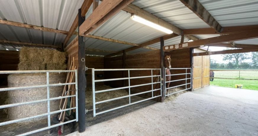 vente Haras / equestre Deauville