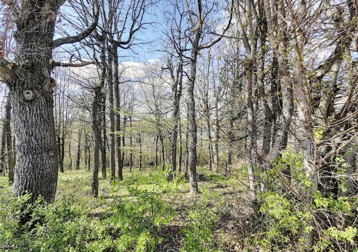 vente Terrain constructible Fontenay Sur Loing