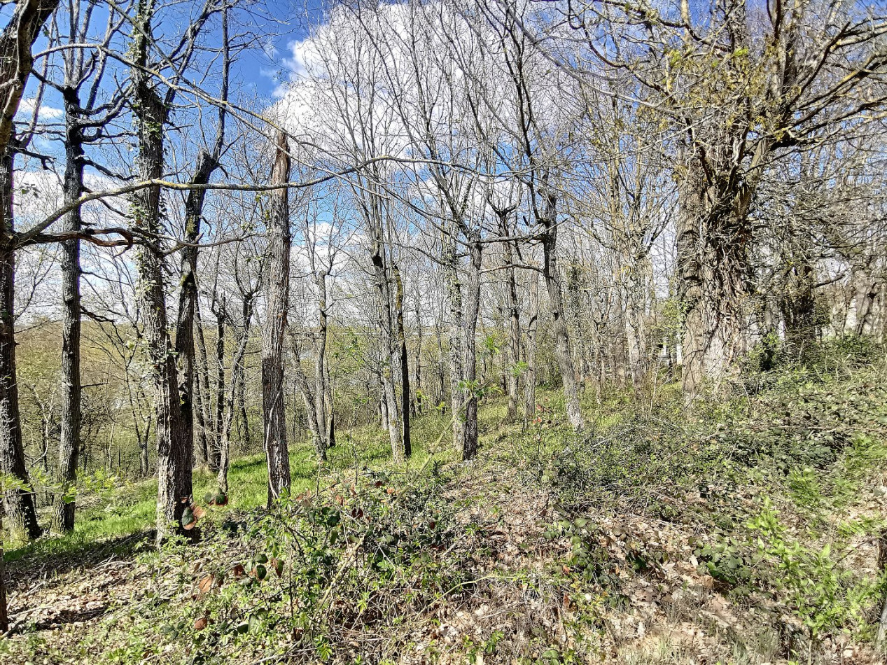 vente Terrain constructible Fontenay Sur Loing - Photo 3