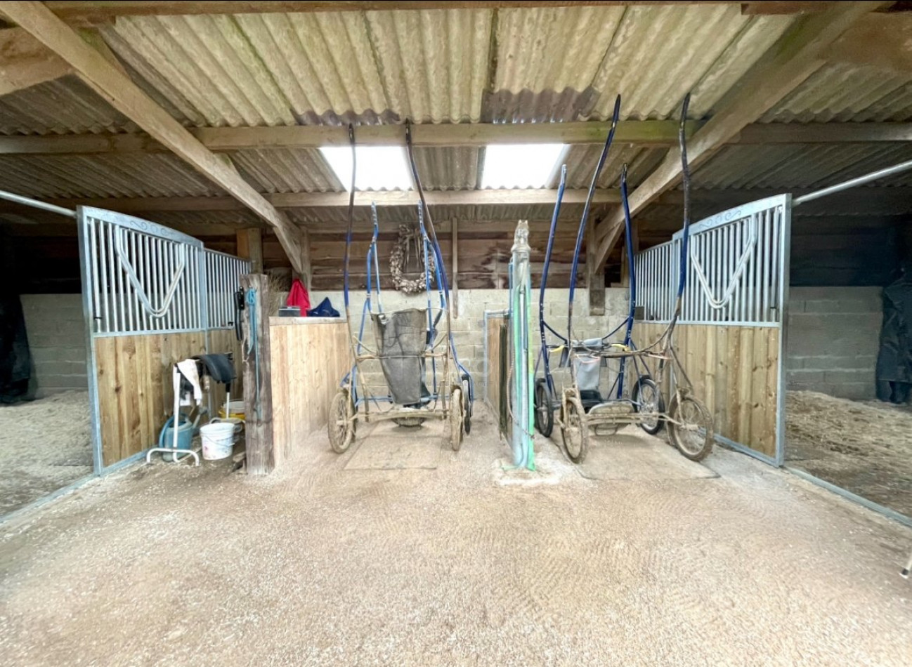vente Haras / equestre Argentan - Photo 14