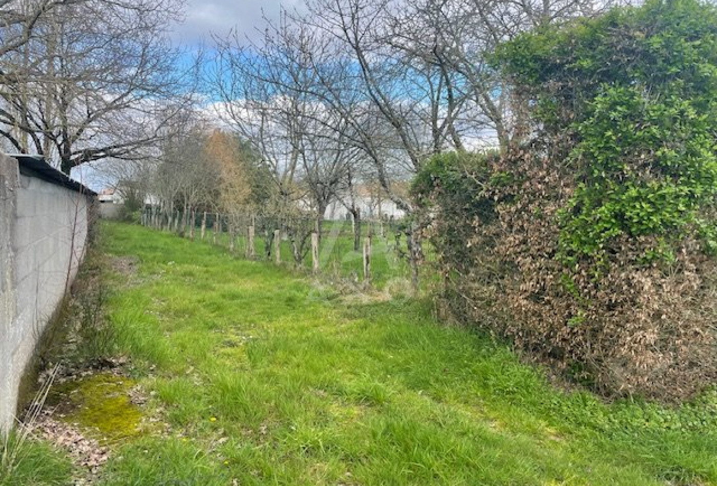 vente Terrain constructible Les Brouzils - Photo 5