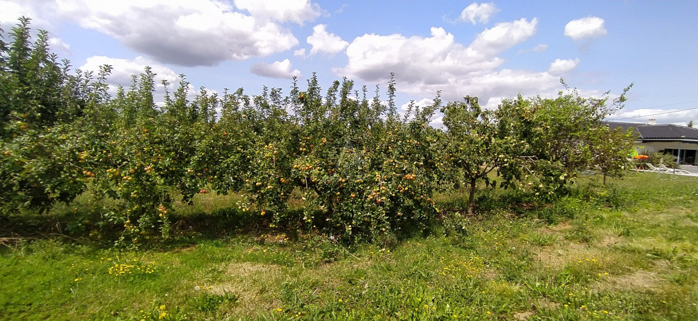 vente Maison Vic Fezensac - Photo 17