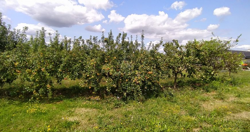 vente Maison Vic Fezensac