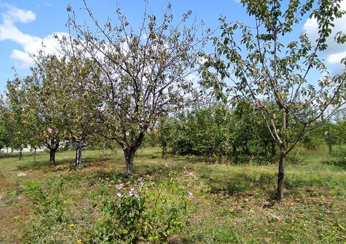 vente Maison Vic Fezensac