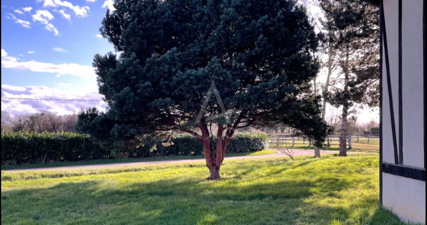 vente Haras / equestre Beuvron En Auge