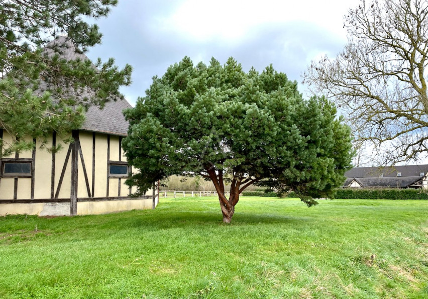 vente Haras / equestre Beuvron En Auge - Photo 6