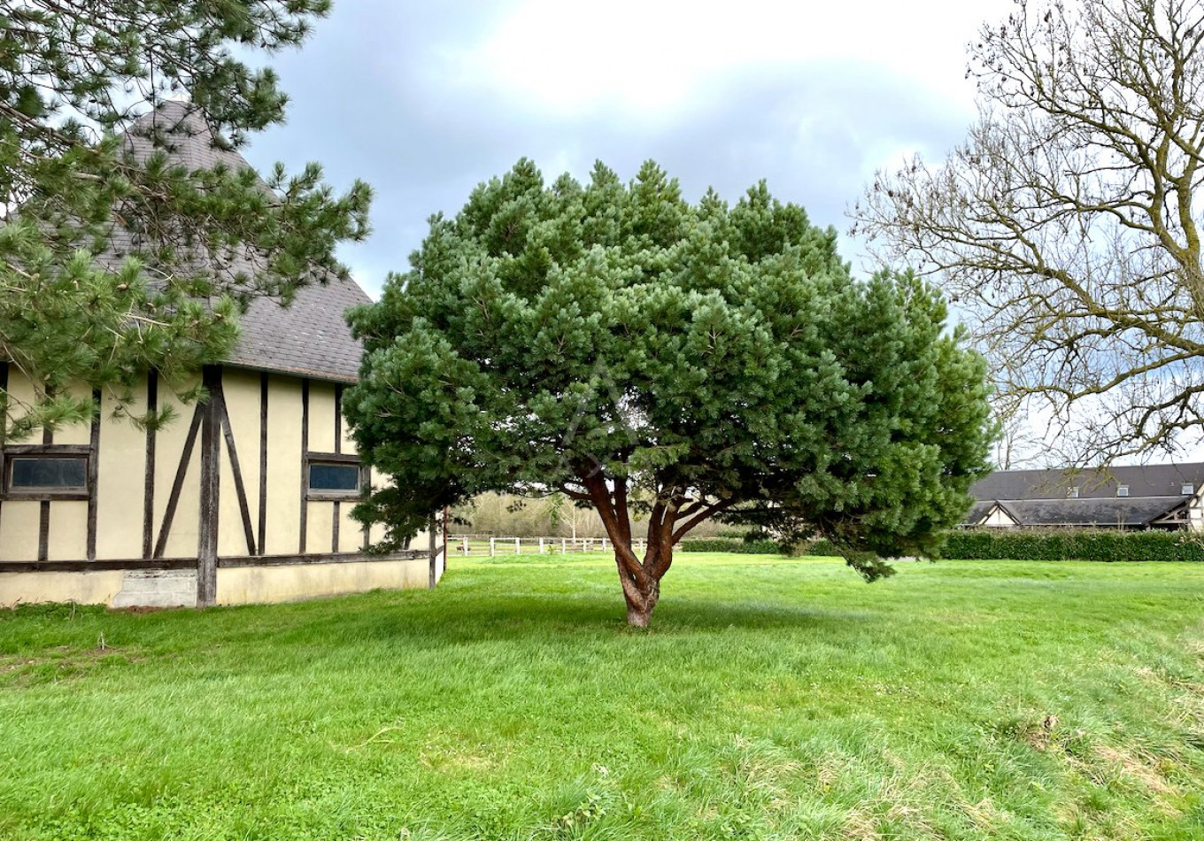 vente Haras / equestre Beuvron En Auge - Photo 6