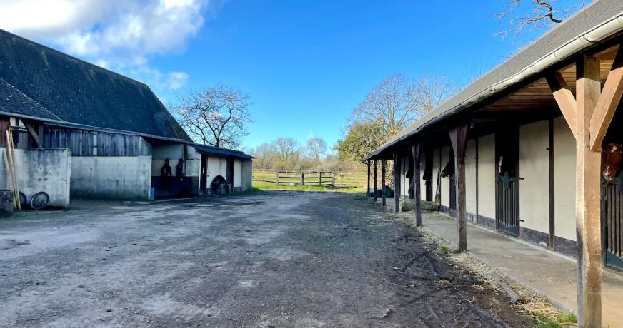 vente Haras / equestre Beuvron En Auge
