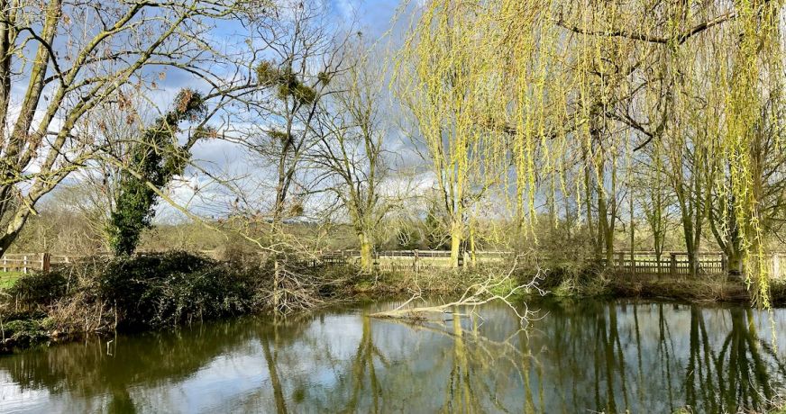 vente Haras / equestre Beuvron En Auge